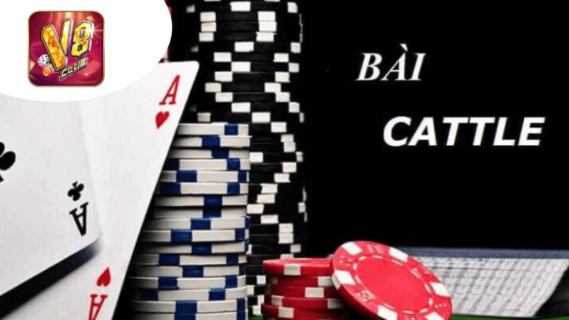 Các chiến lược thắng trong Bài catte đổi thưởng