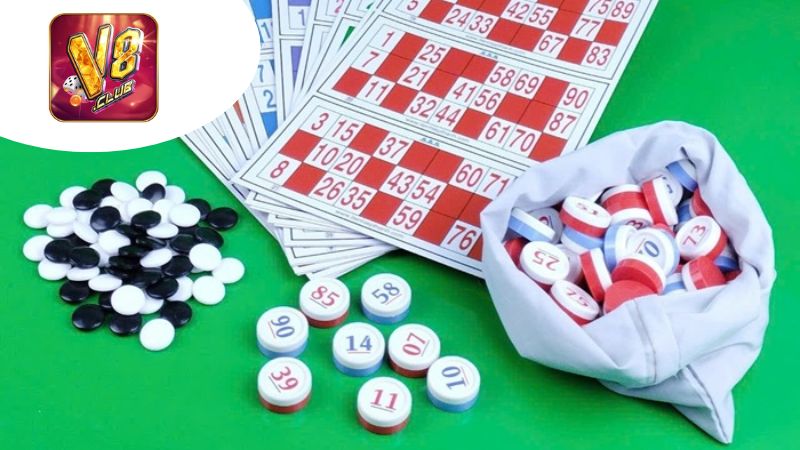 Những Lưu Ý Khi Cá Cược Vòng Loại Loto