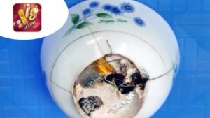 xoc-dia-bip-tai-iwin